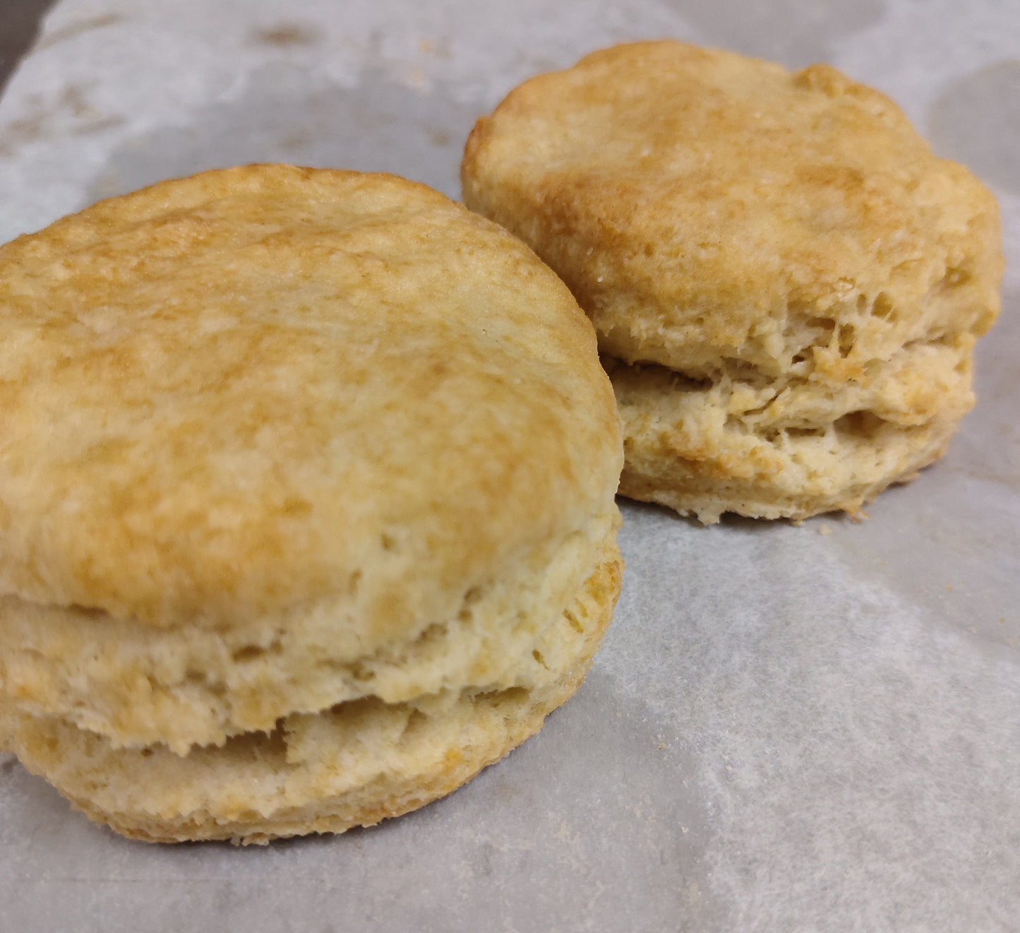 Golden Biscuit- 4 pack