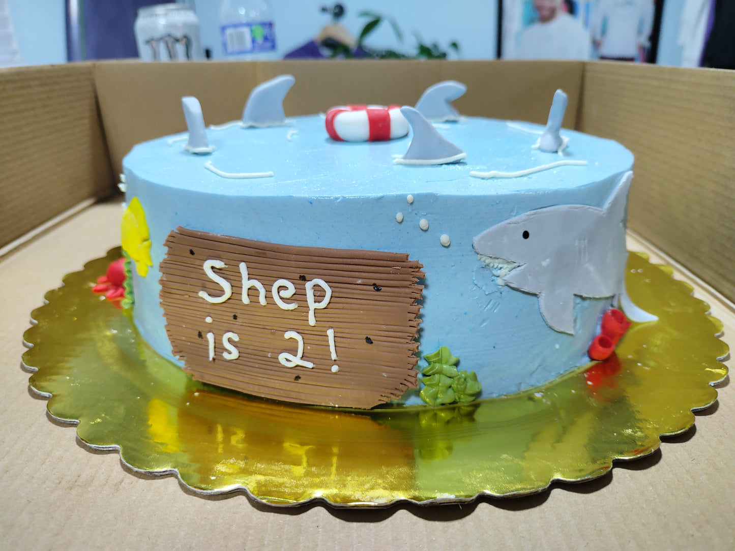 Shark Attack Cake